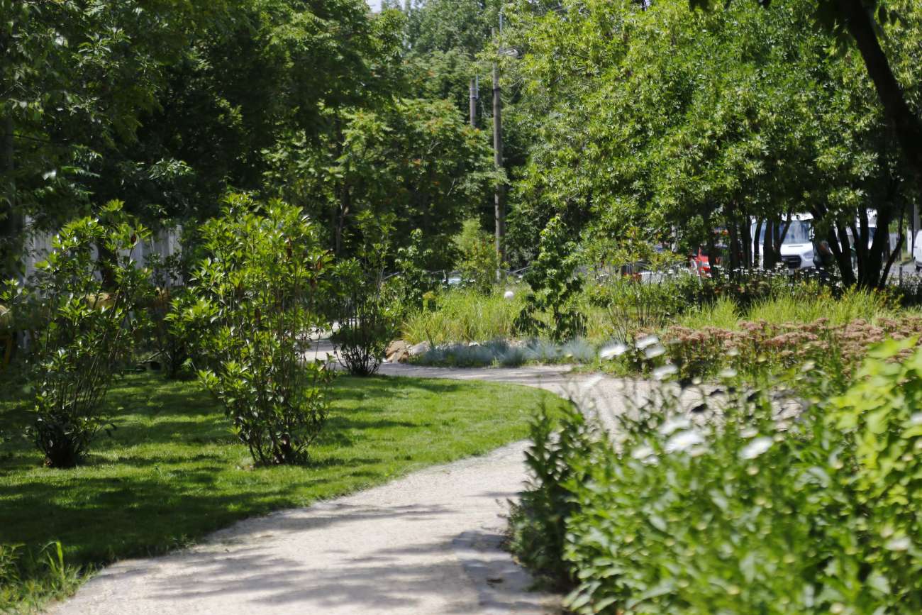 Act Today for a Greener Tomorrow: Grădini Urbane