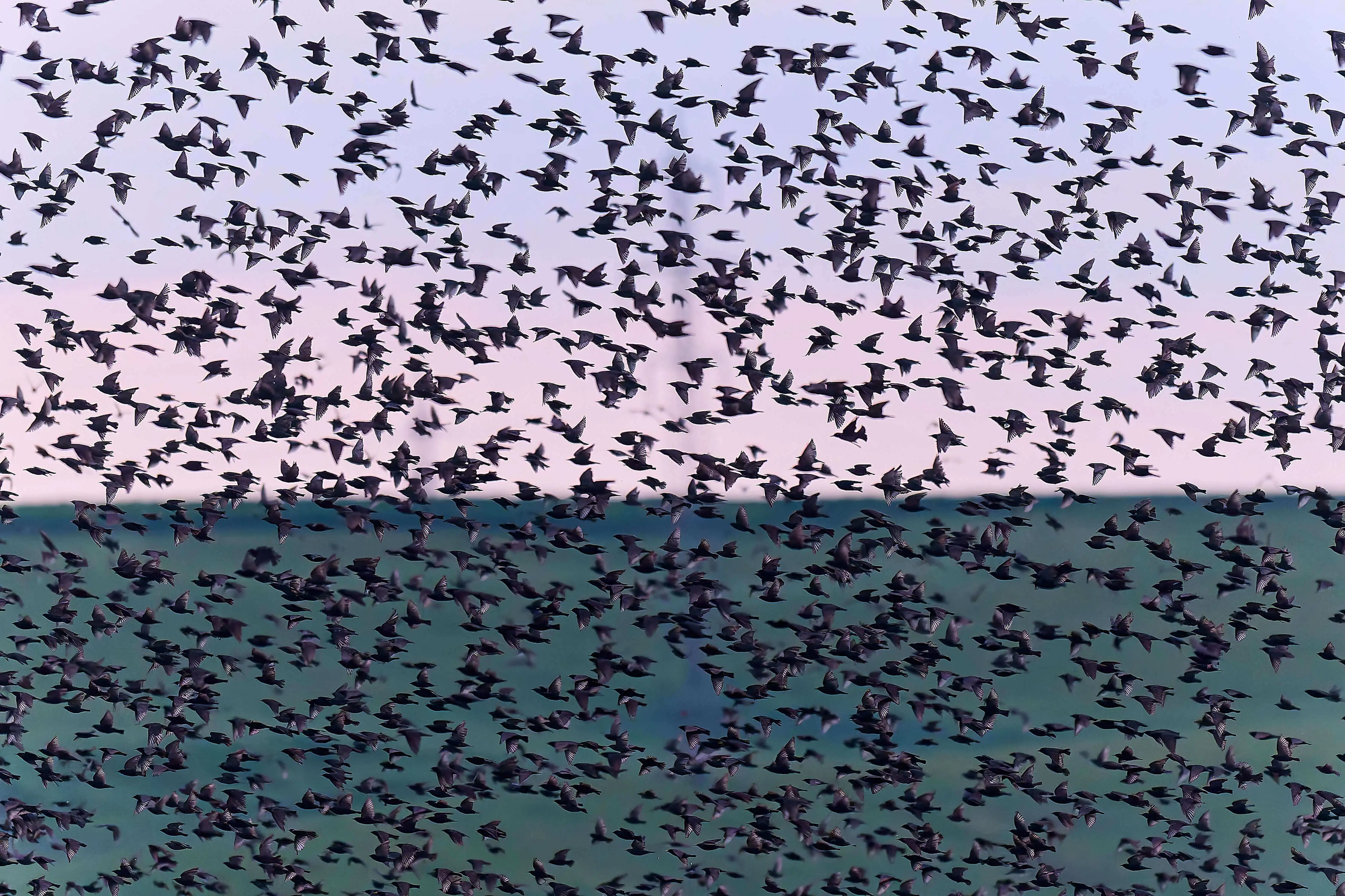 Mediu înconjurător