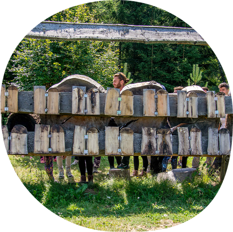 Pădurea pedagogică #5