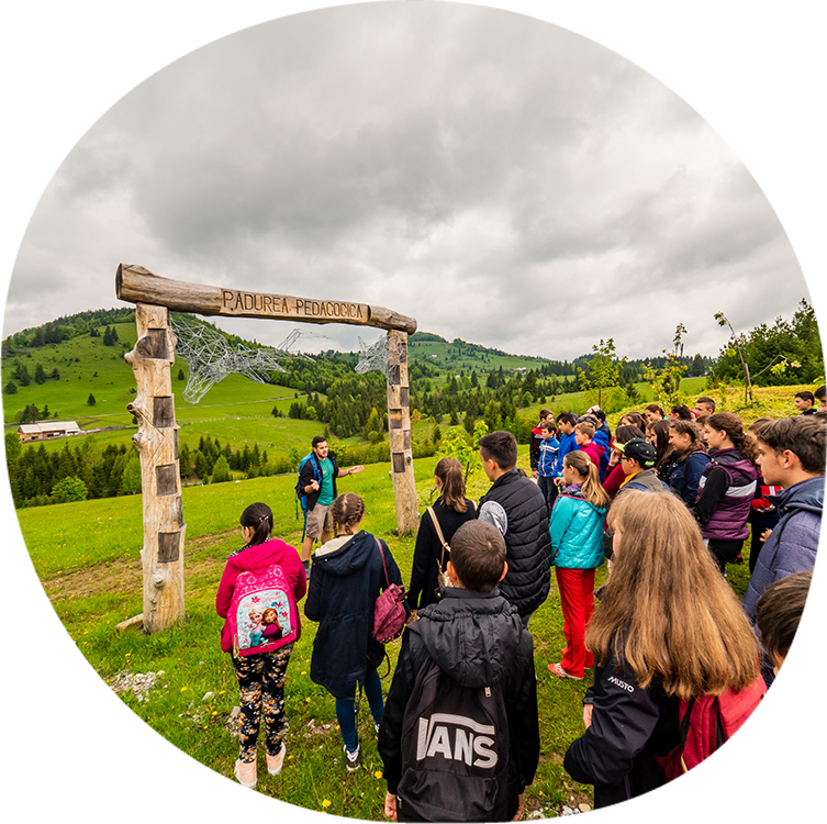 Pădurea pedagogică #6