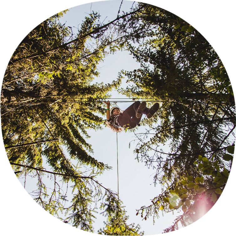 Pădurea pedagogică #4