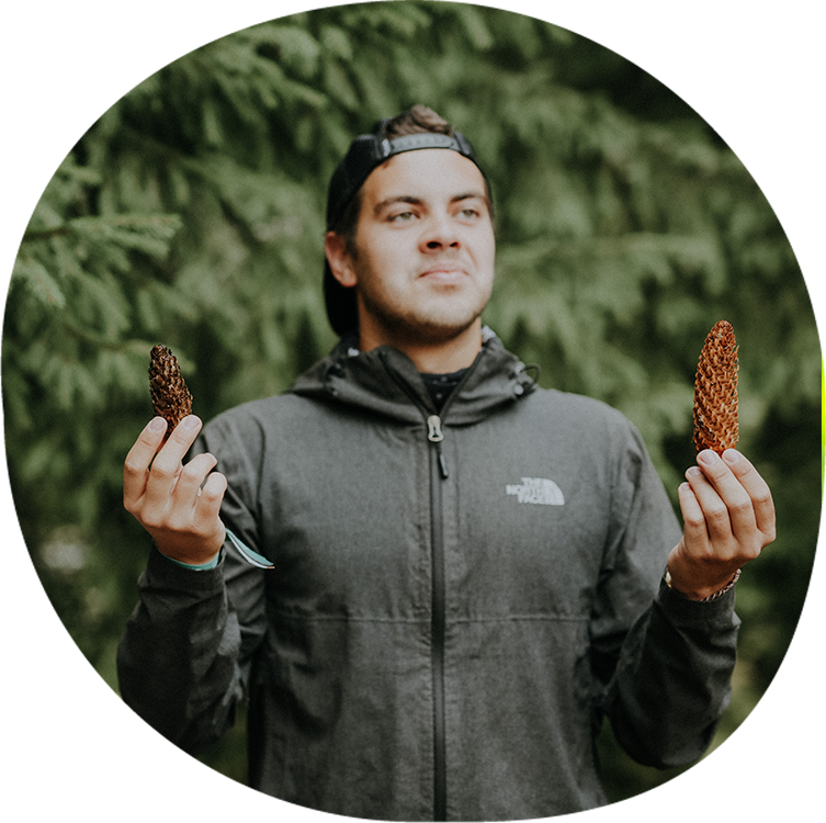 Pădurea pedagogică #0