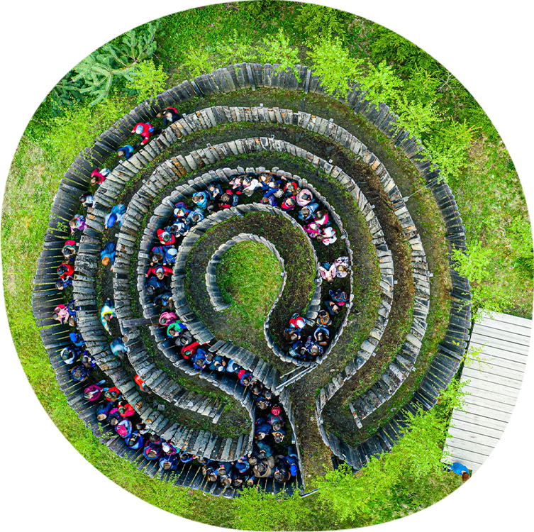 Pădurea pedagogică #2